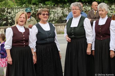 Čebela velikanka potuje po Kamniku (43)